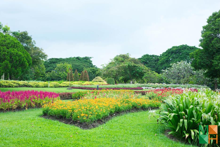 Su da dang cua nhung mau thiet ke tranh dan tuong Han quoc 2016